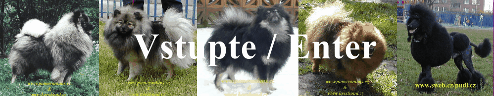 Vstup / Enter
